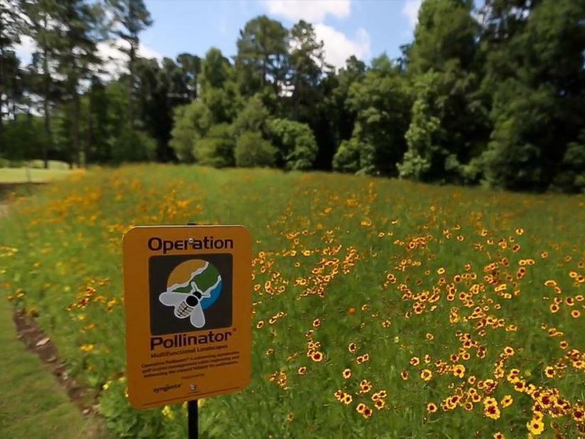 ホテル Cateechee Hartwell エクステリア 写真